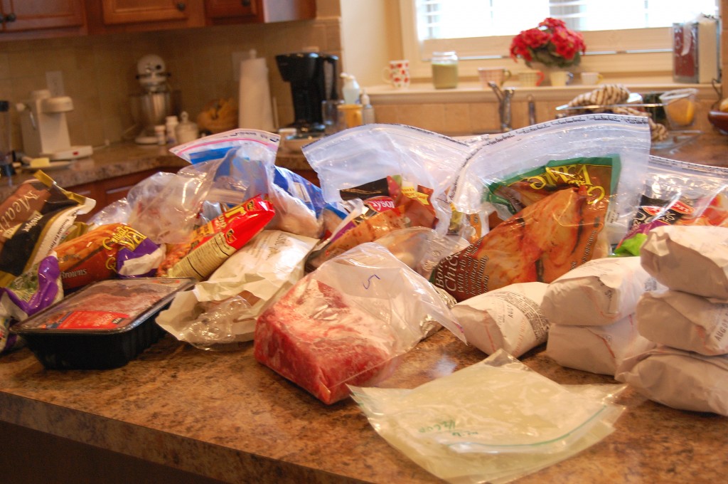 challenge-freezer-contents challenge-freezer-contents