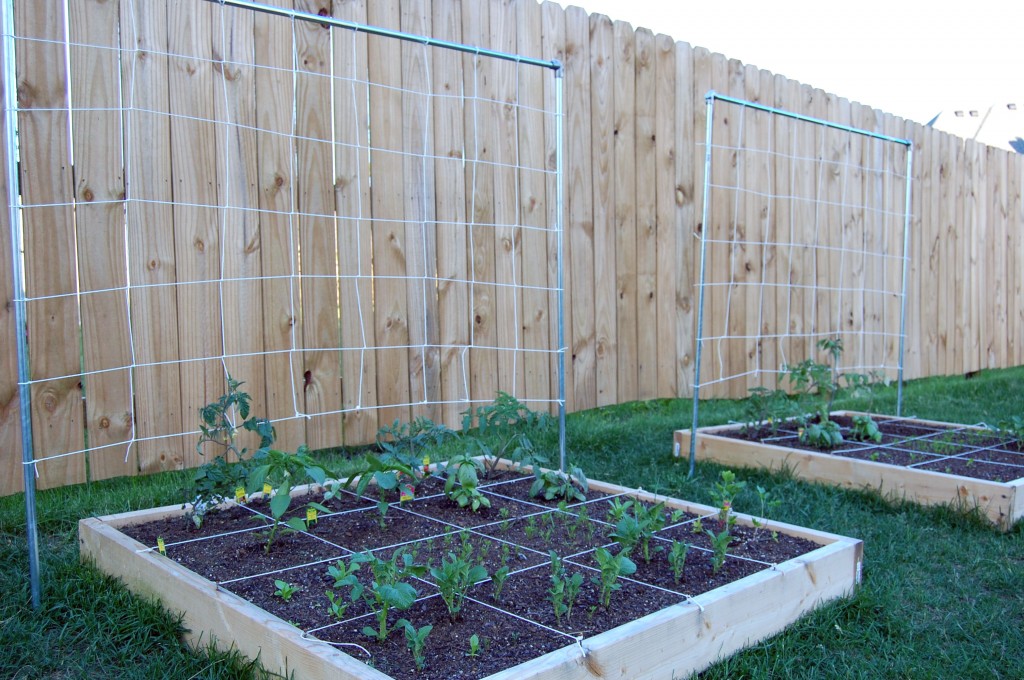 Square Foot Garden - Trellis added - Eat at Home