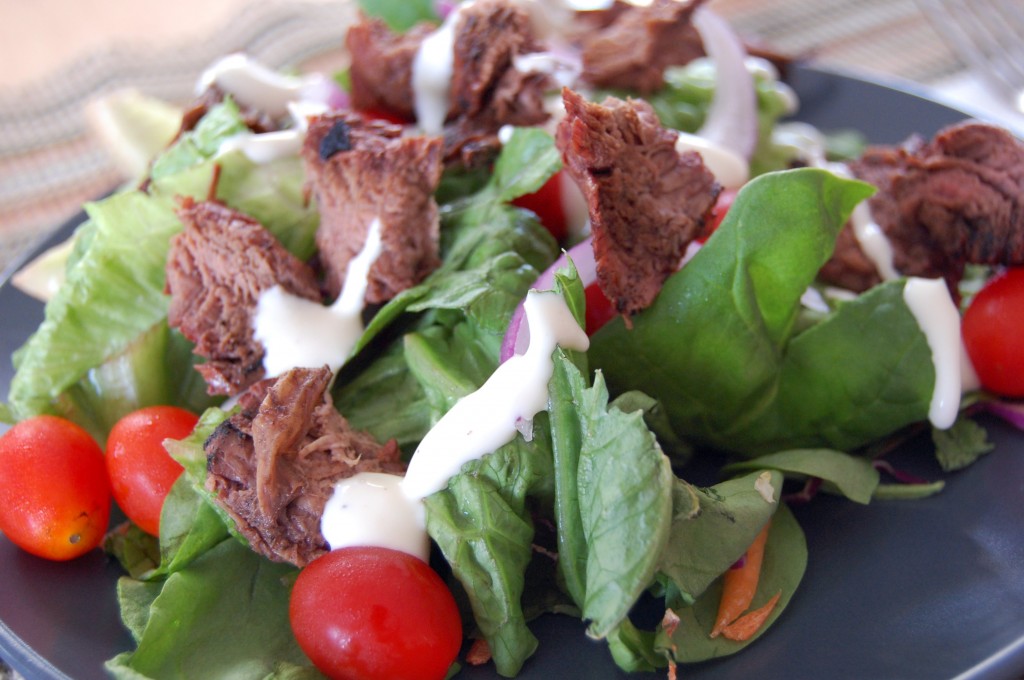 bison-salad bison-salad