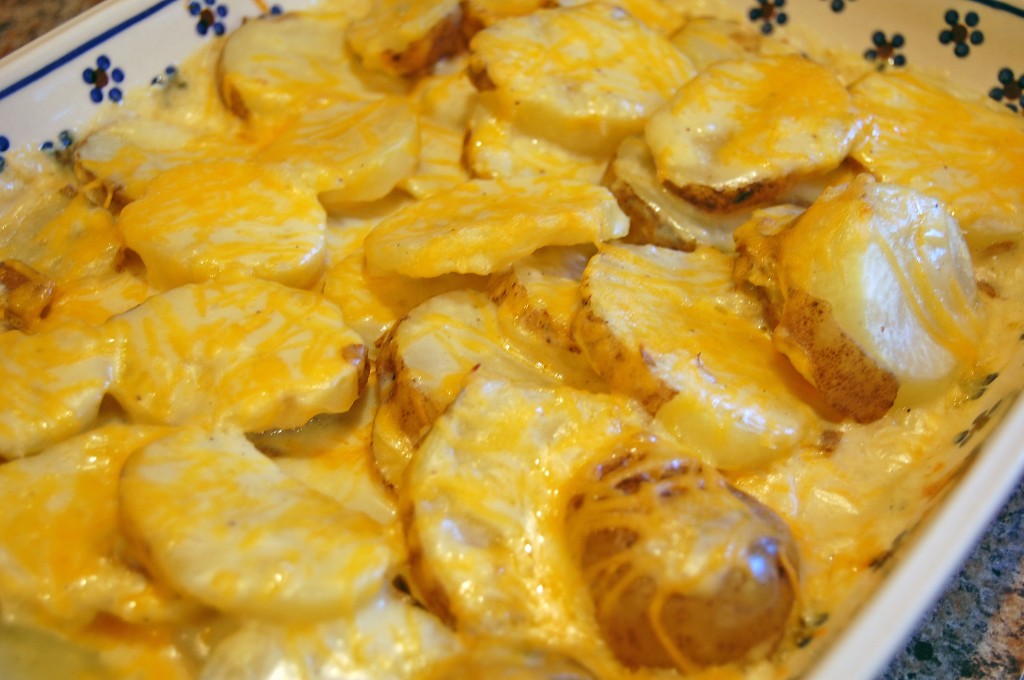recipes potato au gratin
