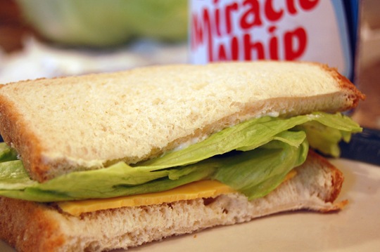 cheese sandwich