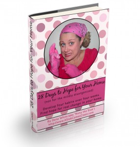 28_Days_to_Hope_web-286x300