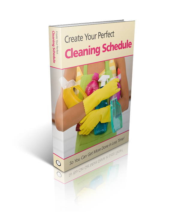 CleaningSchedule_1_3D_B1