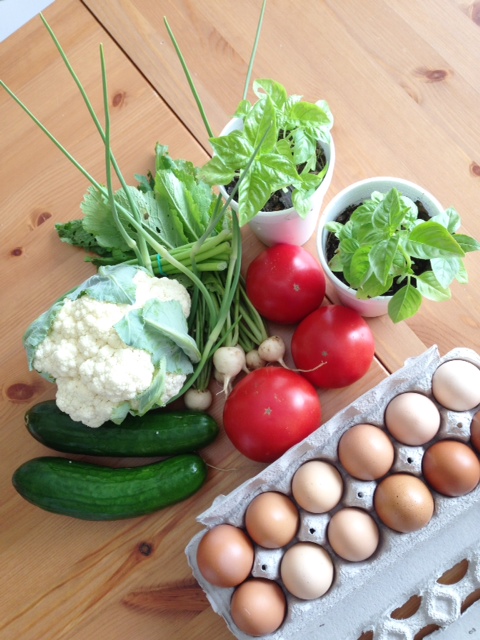 farmersmarketjune8