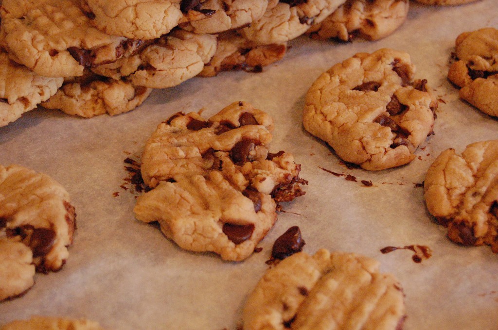 choc-chip-peanut-butter-cookies-top