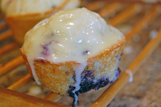 blueberry muffins with organge glaze dunked