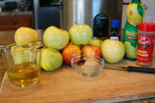 homemade apple sauce ingr