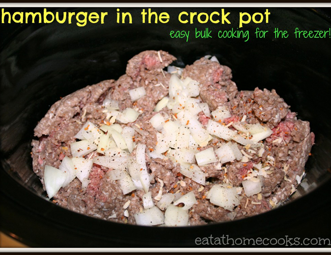 hamburger in the crock pot