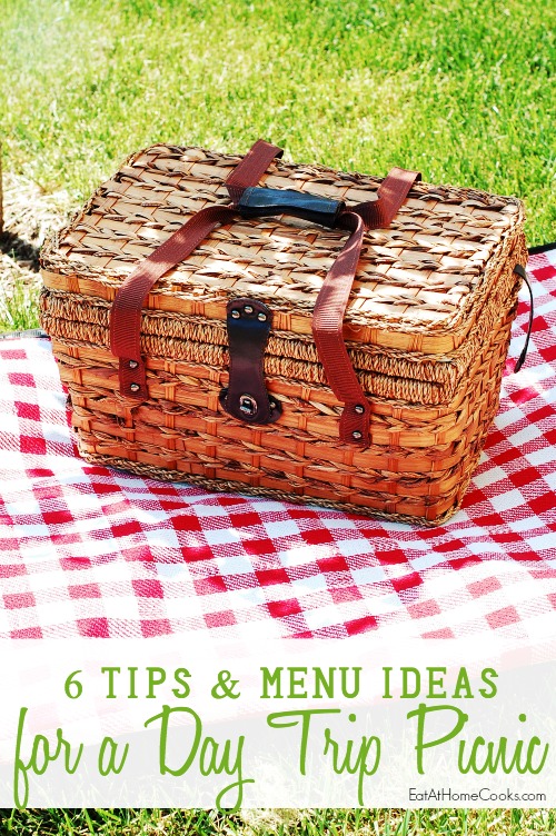 6 Tips and Menu Ideas for a Day Trip Picnic to the Zoo or park