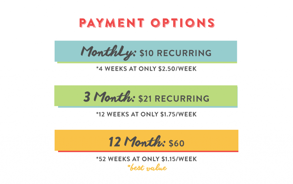 Pay-Options-graphic